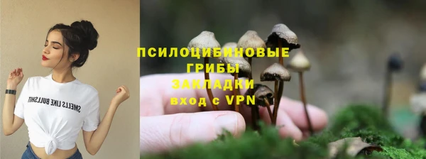 спиды Бердск