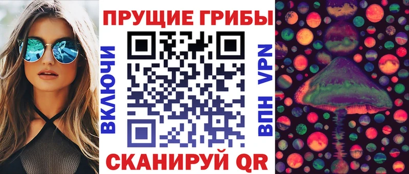 ссылка на мегу ссылки Хилок Псилоцибиновые грибы Psilocybe купить сайты